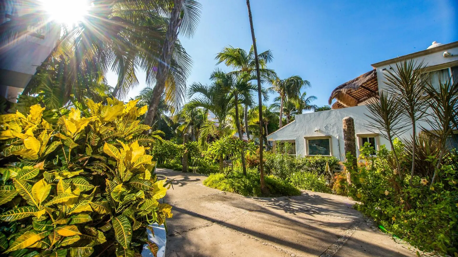 Caribbean Sea Front 2 Bedroom 2 Ba - Ground Floor- Large Pool -Seaweed-Free Beach Akumal 0*,  Mexico