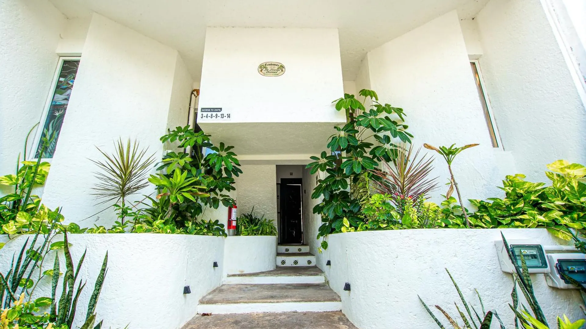 Apartment Caribbean Sea Front 2 Bedroom 2 Ba - Ground Floor- Large Pool -Seaweed-Free Beach Akumal