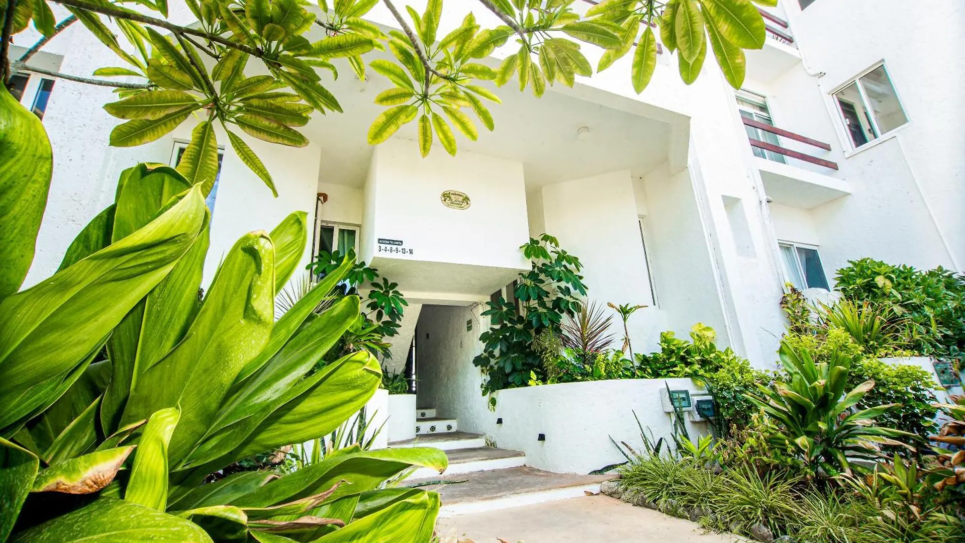 Caribbean Sea Front 2 Bedroom 2 Ba - Ground Floor- Large Pool -Seaweed-Free Beach Akumal Mexico