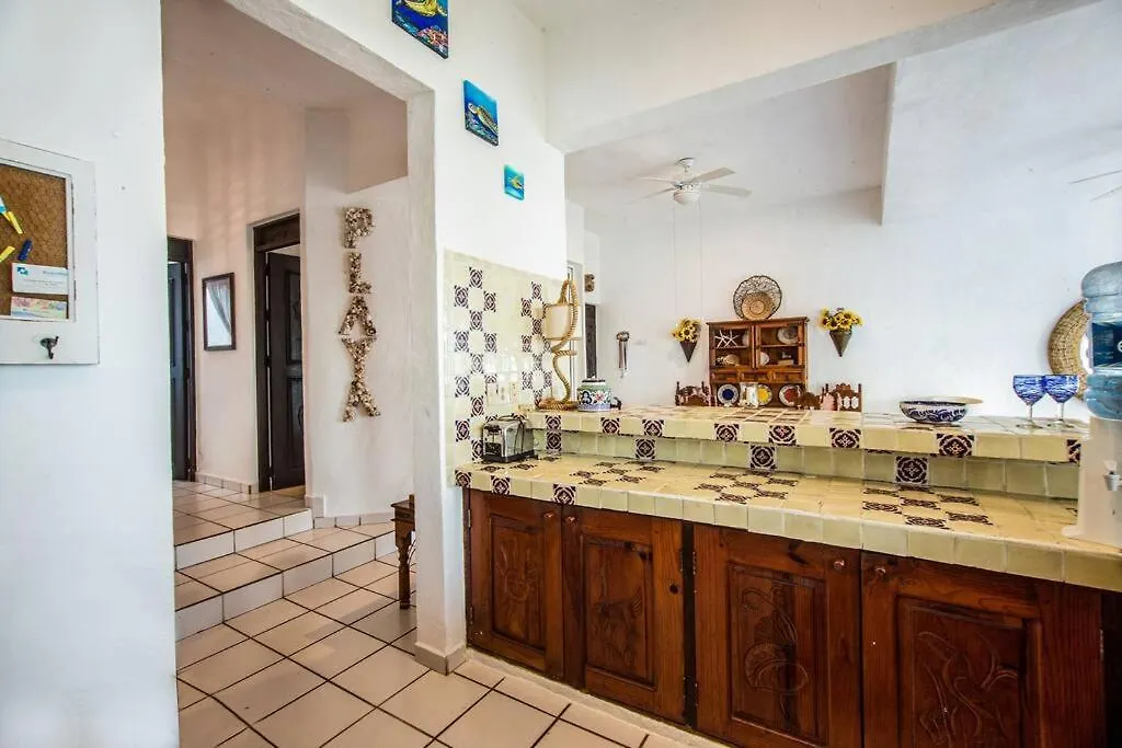 Apartment Caribbean Sea Front 2 Bedroom 2 Ba - Ground Floor- Large Pool -Seaweed-Free Beach Akumal