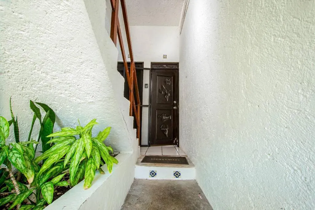 Caribbean Sea Front 2 Bedroom 2 Ba - Ground Floor- Large Pool -Seaweed-Free Beach Akumal 0*,  Mexico