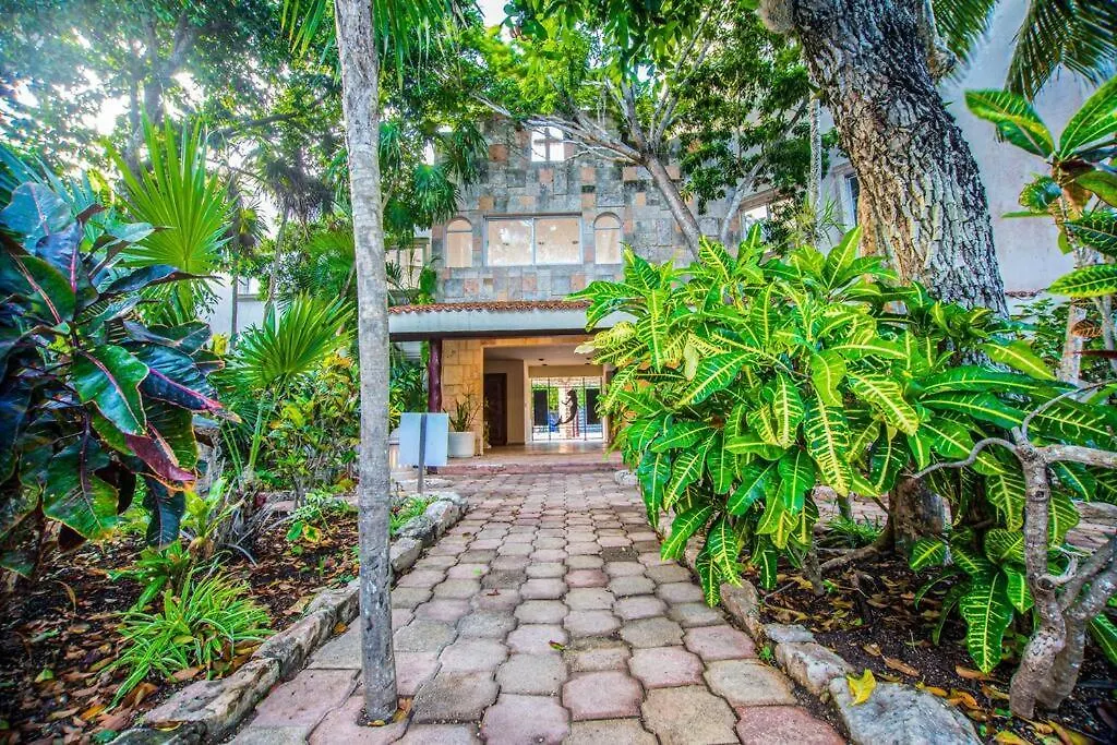 Apartment Caribbean Sea Front 2 Bedroom 2 Ba - Ground Floor- Large Pool -Seaweed-Free Beach Akumal